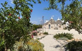 Infinity Truly Trulli